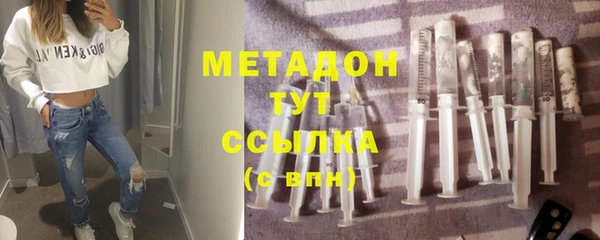 гашик Ельня