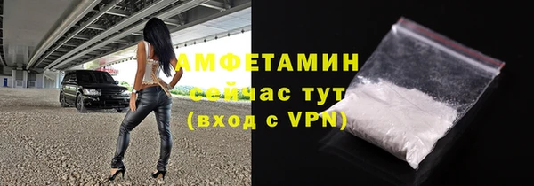гашик Ельня