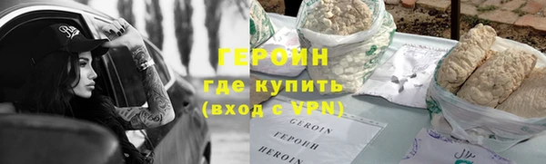 гашик Ельня