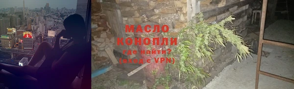 гашик Ельня