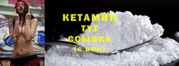 гашик Ельня