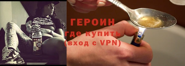 гашик Ельня