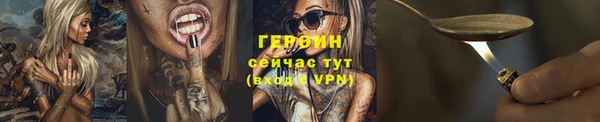 гашик Ельня