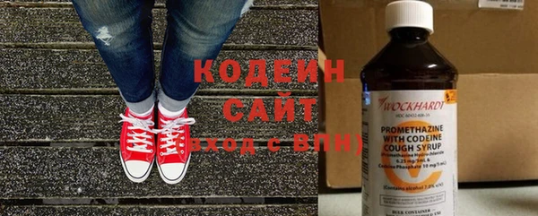 гашик Ельня