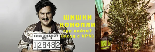 гашик Ельня