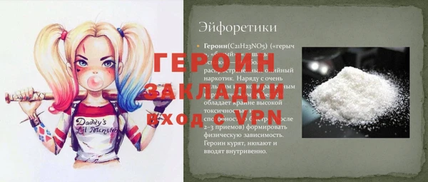 гашик Ельня
