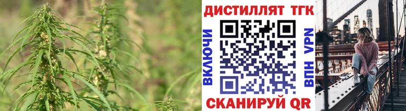 Дистиллят ТГК Wax Кимовск